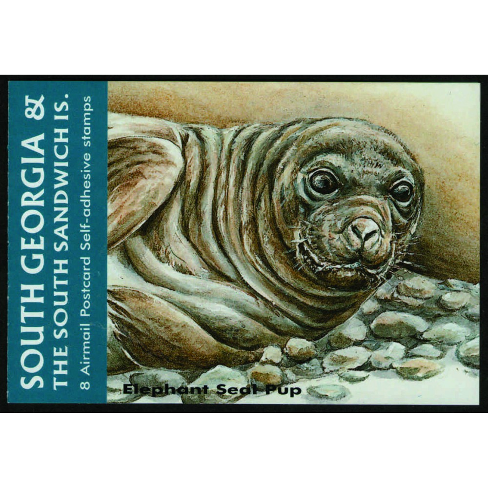 Carnet Elefante Marino